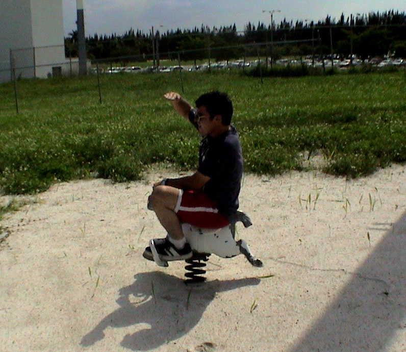 and this is as close to seeing any horses as we got.